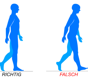 der Gang einmal richtig
